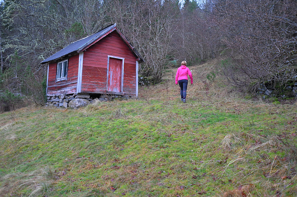 Opp forbi Brune til Høgåsen