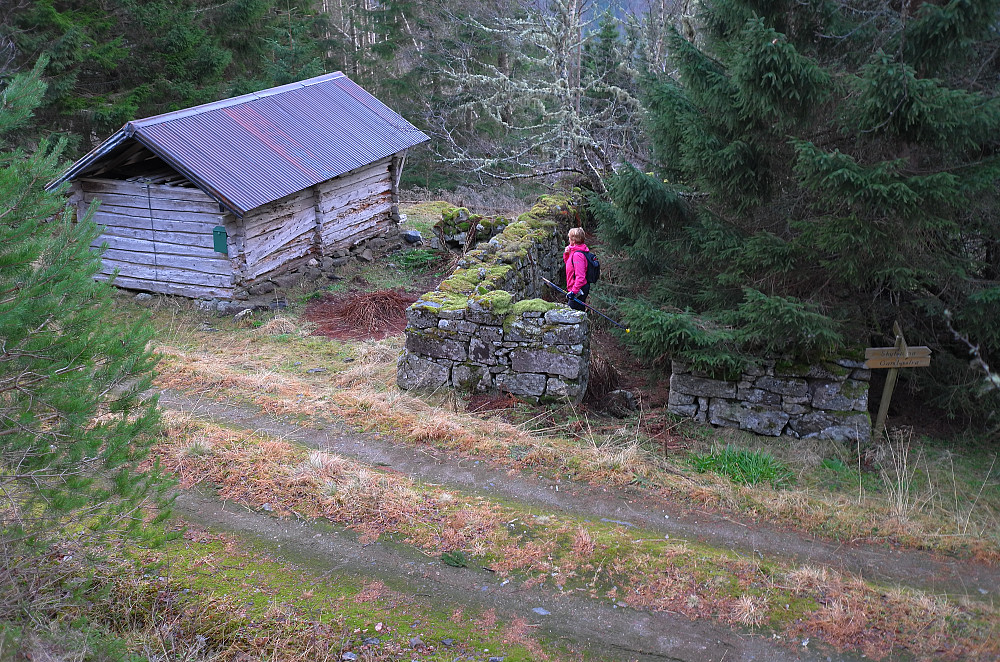 Nesjesætra