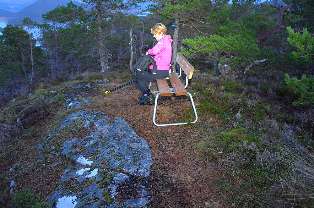 Storegga på Utvikfjellet