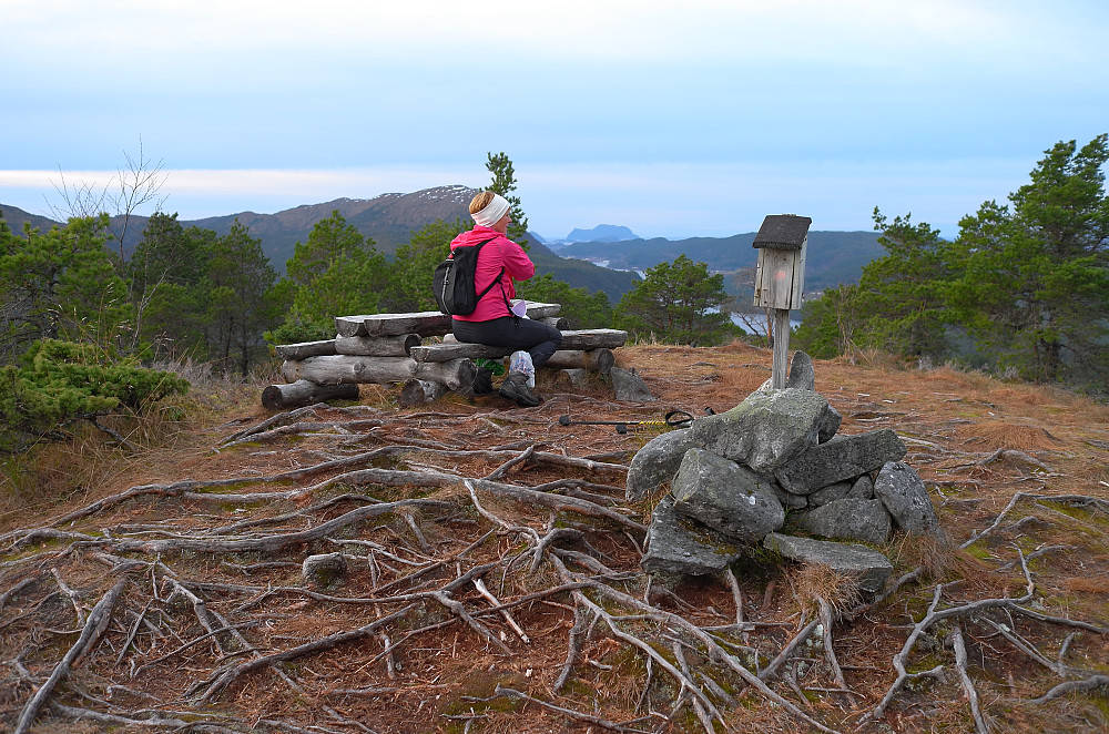Haugtua