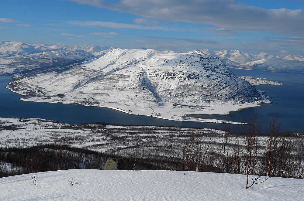 Halvøya Reasenjarga