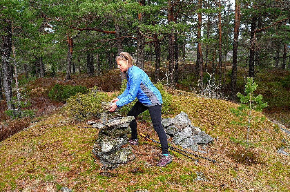 Vardebygging