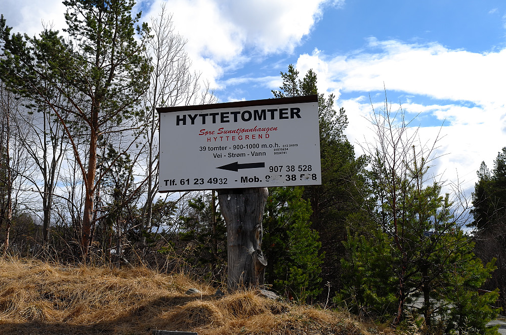 Bilvei nesten til toppen