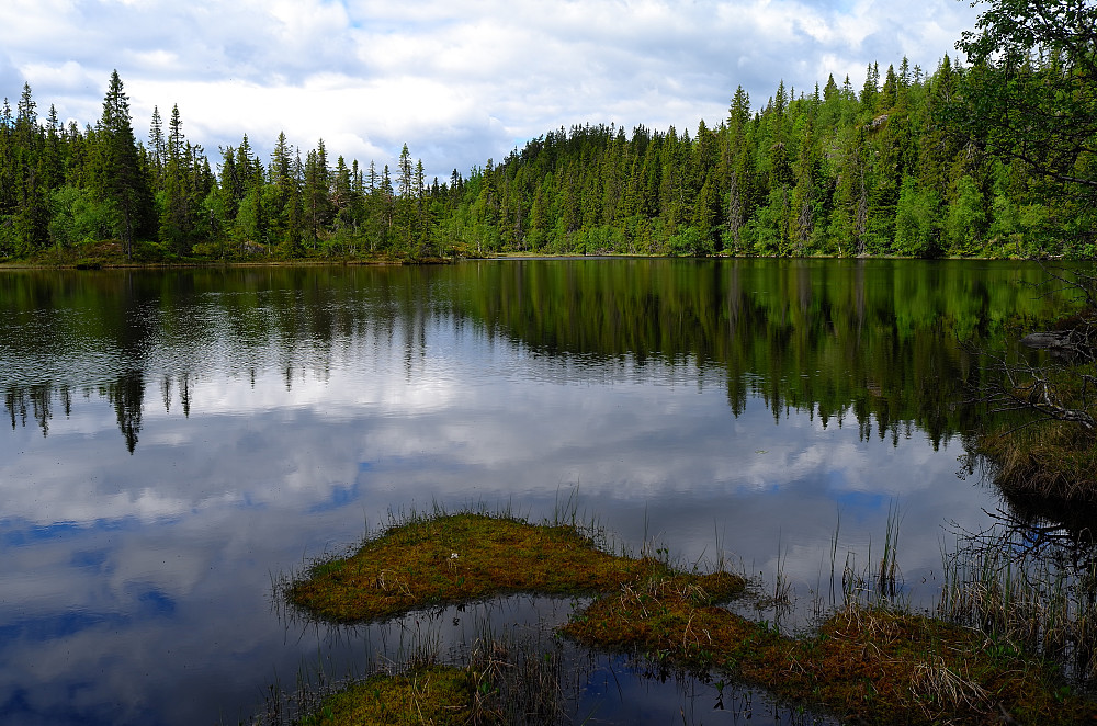 Vesle Bergsvatnet