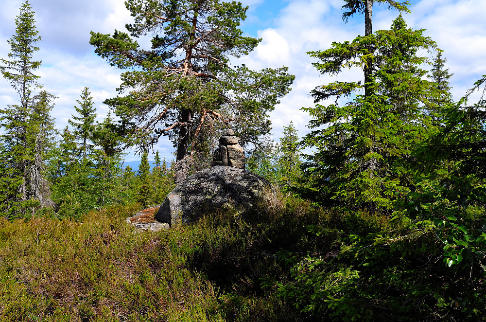 Rudskollen 