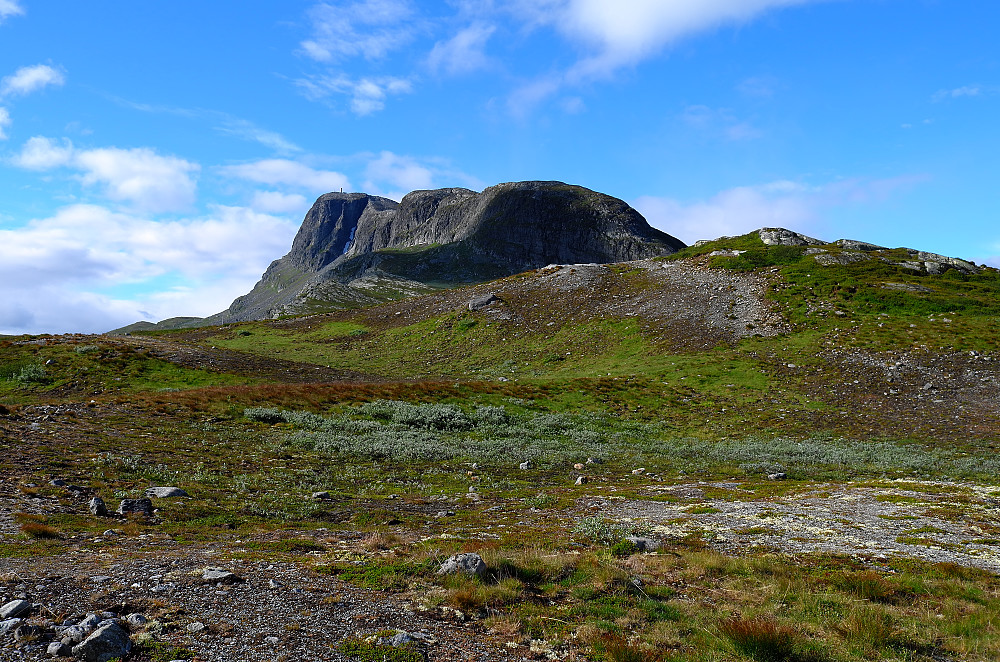 Bitihorn sett fra nord