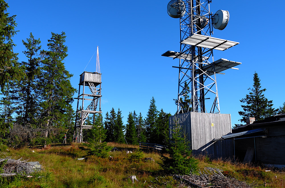 Lauvhøgda 722