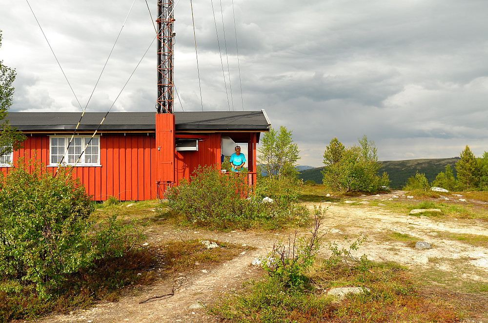 Vardhøgda