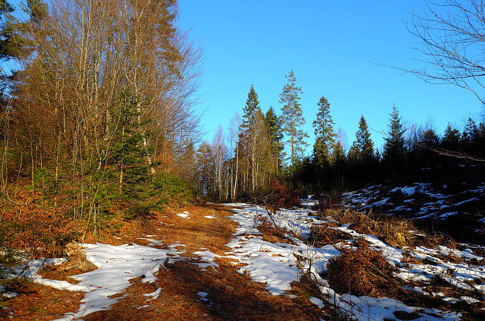 Desembervær i Vestfold