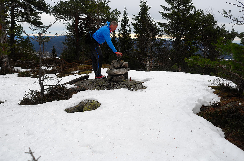 Grasåsen