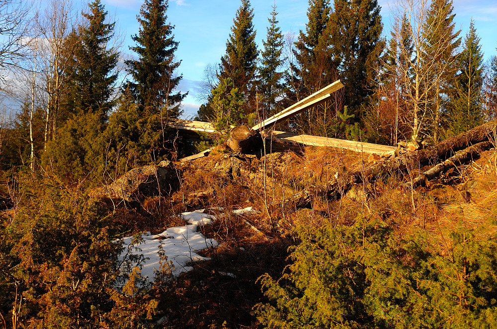 Tanumkollen