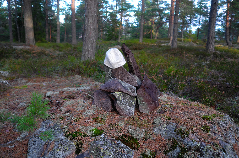Presthøgås