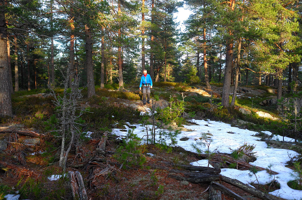 Gammelt nedfalstårn på toppen