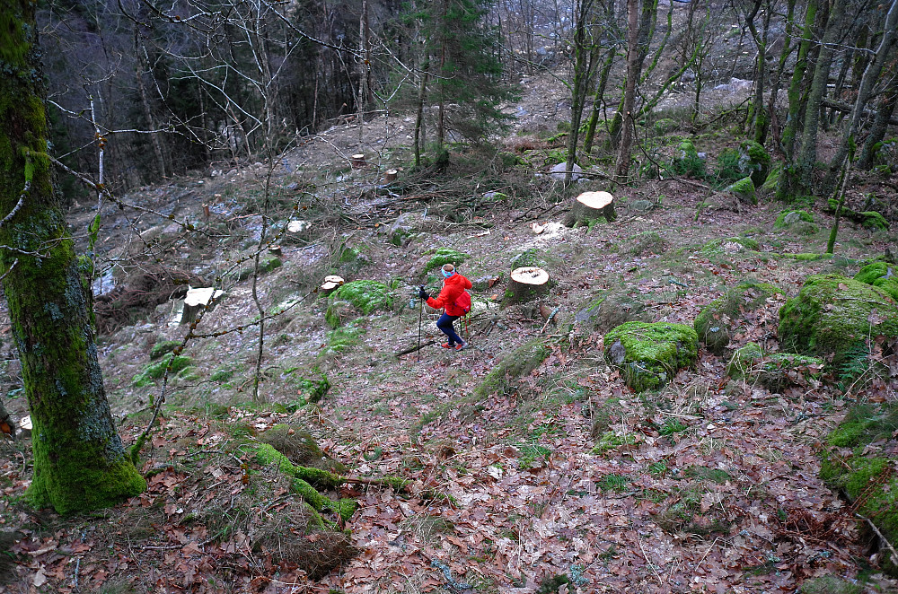 Kun 250 meter i luftlinje fra bilen