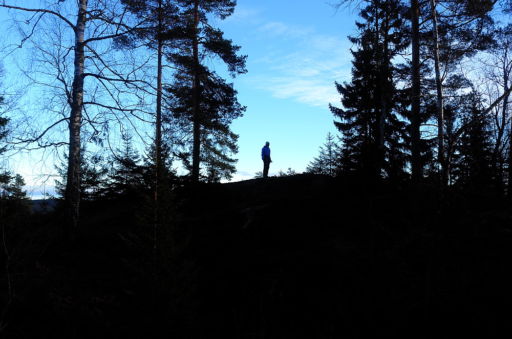 Bufjell
