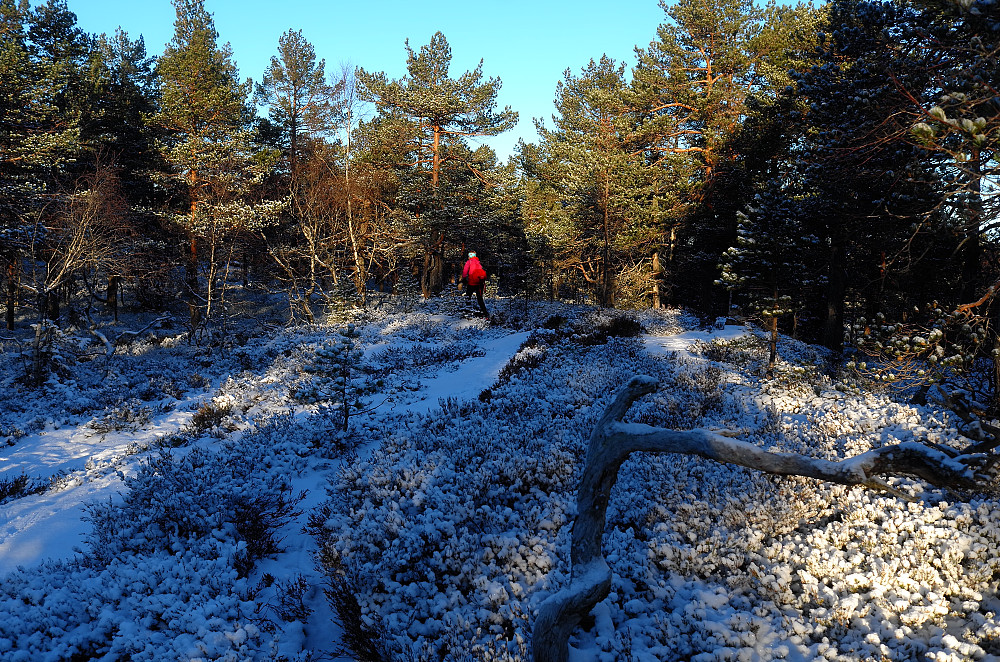Storås