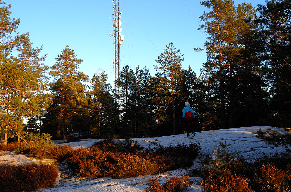 Norbykollen
