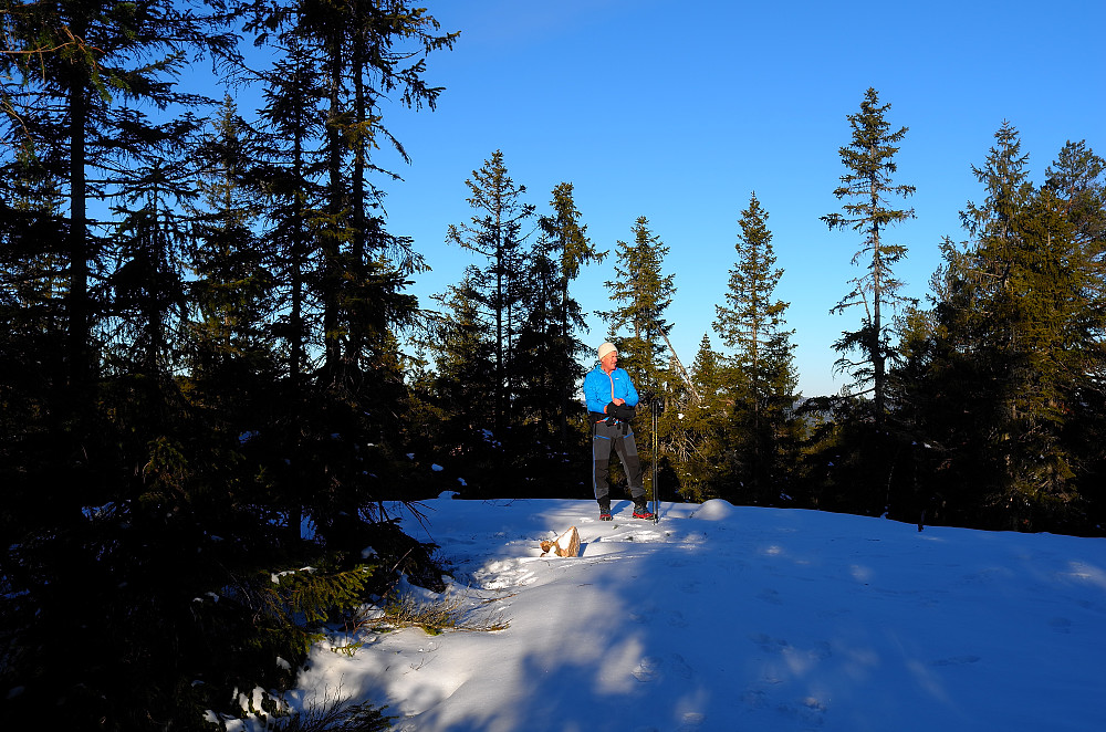 Oppsalfjellet vest