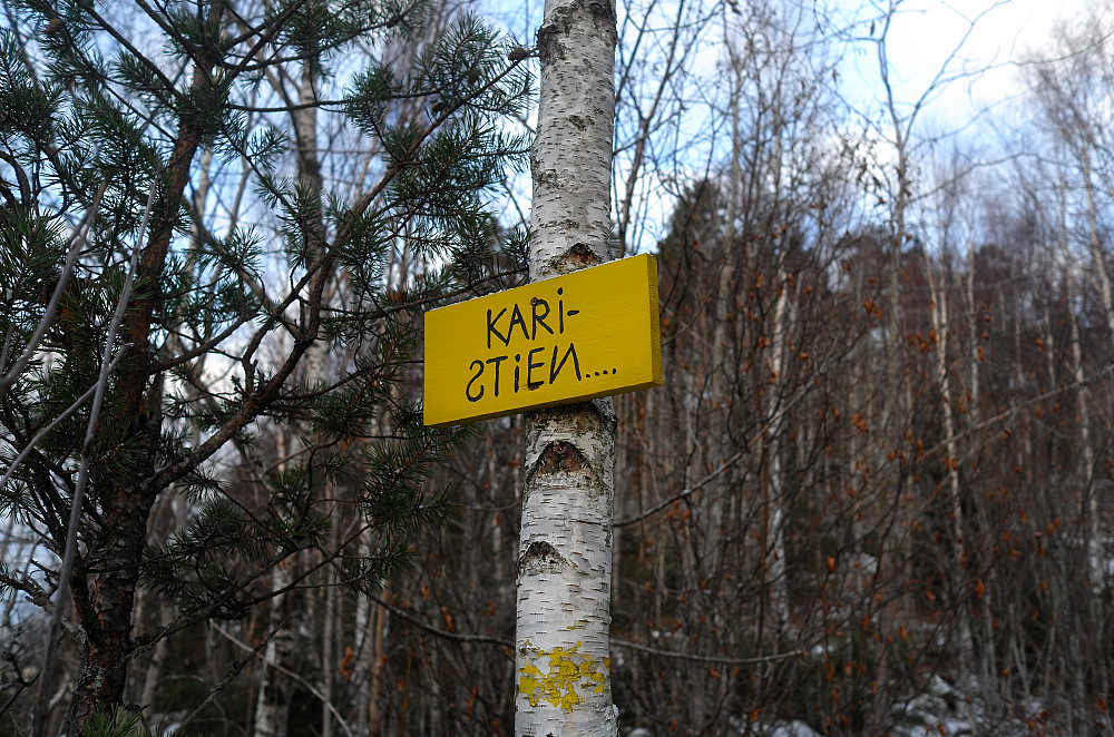 Korteste rute