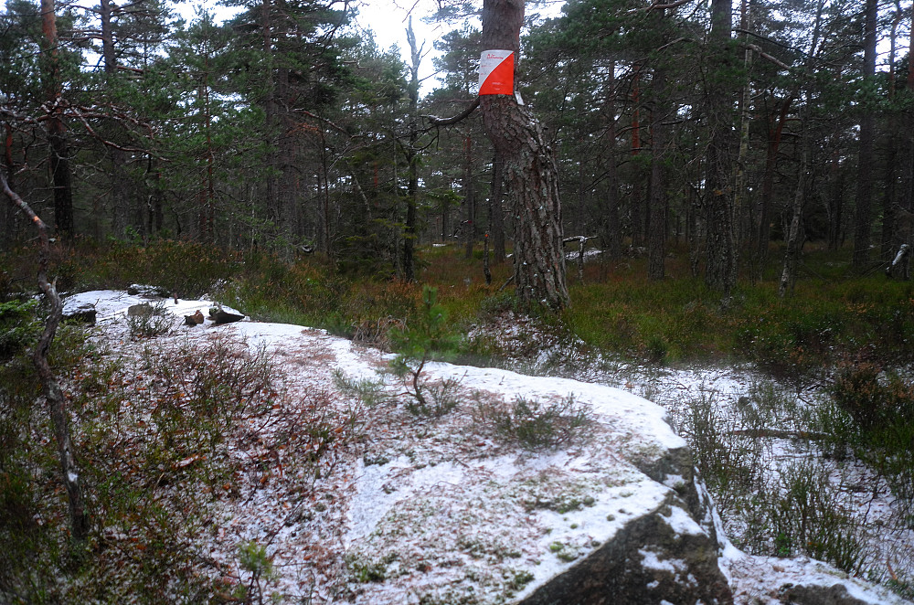 Knivsfjellet