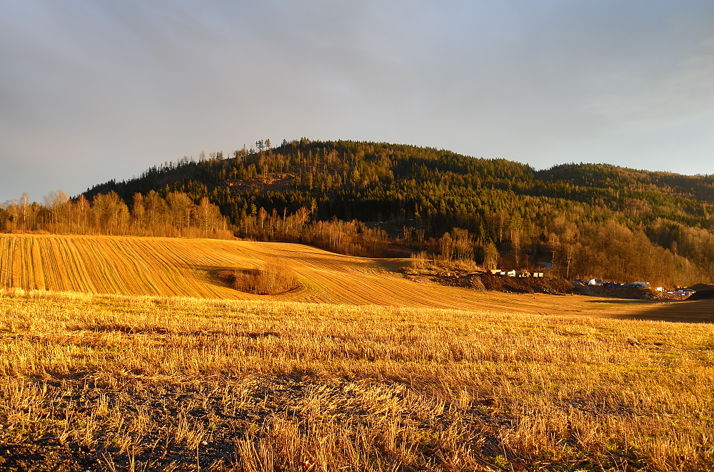 Vardåsen