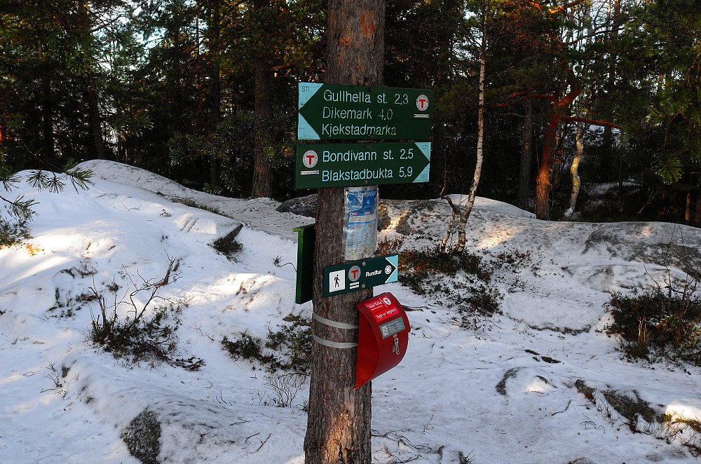 Hogg ned skogen på toppen..
