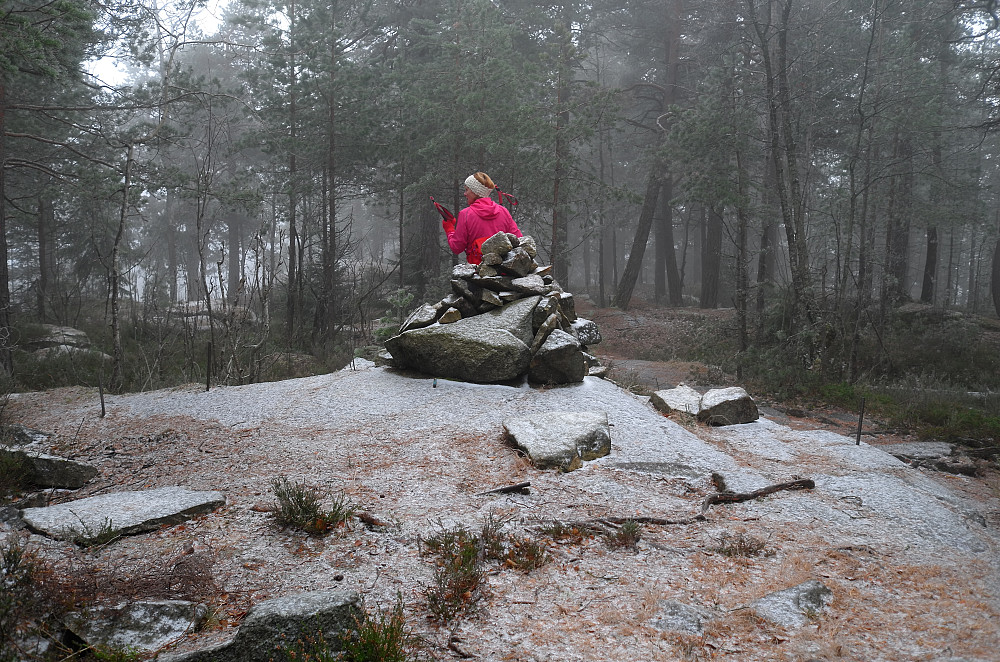 Tåke på Aukeåsen
