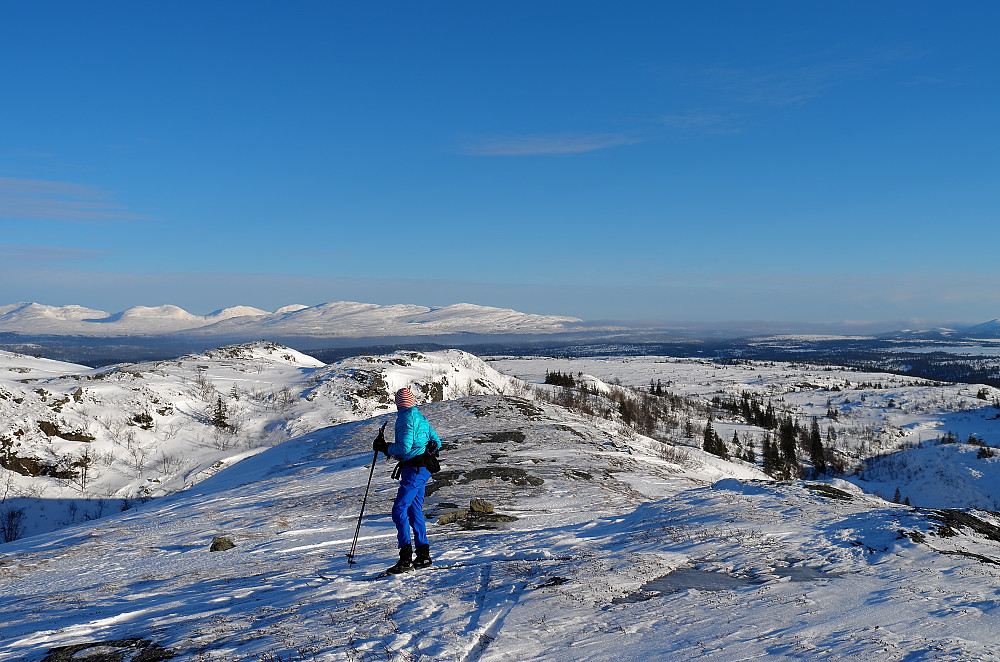 Mot svenske fjell