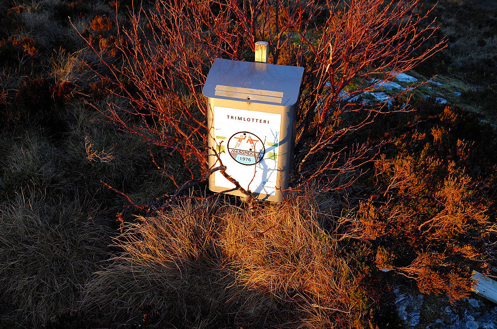 Røyrafjellet