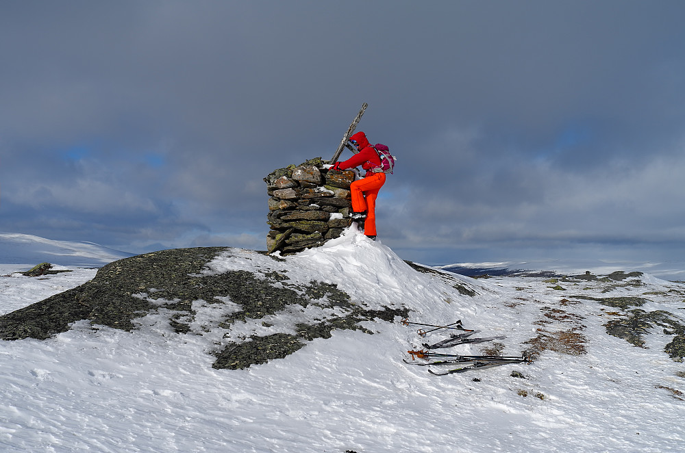 Borrfjellet 