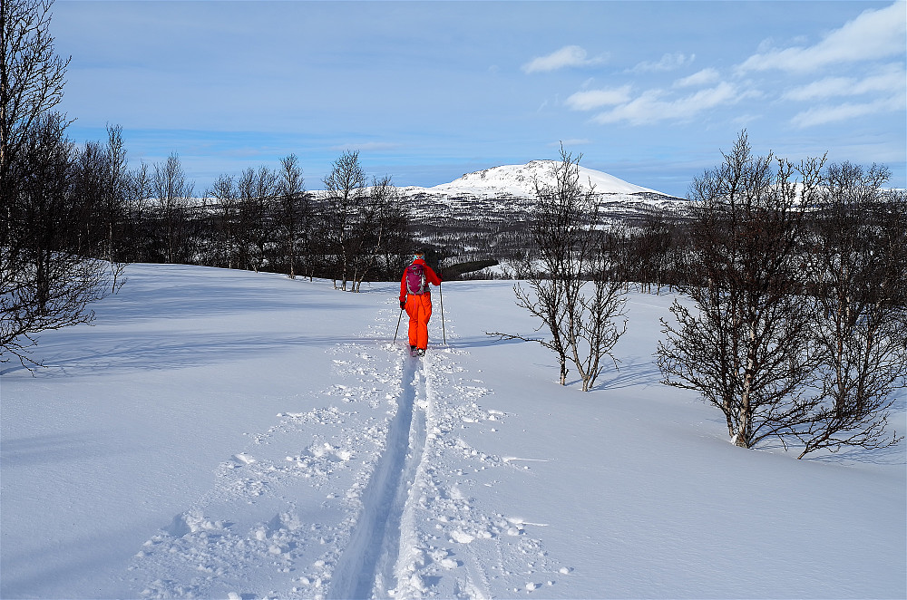 Seterfjellet sees lengst  bak