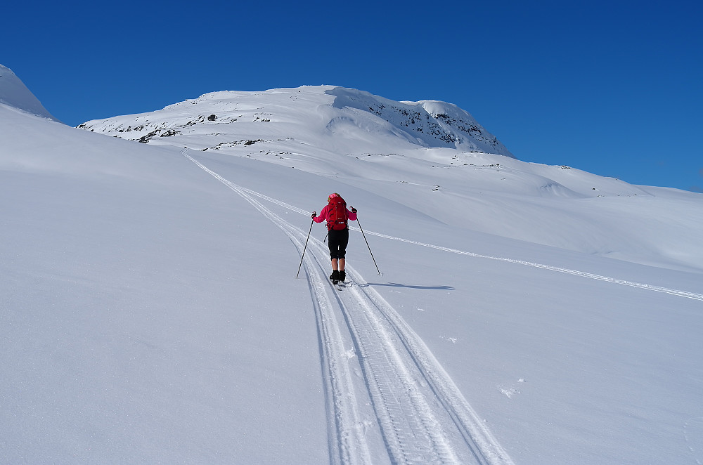 Scooterspor til Kjerringskardet