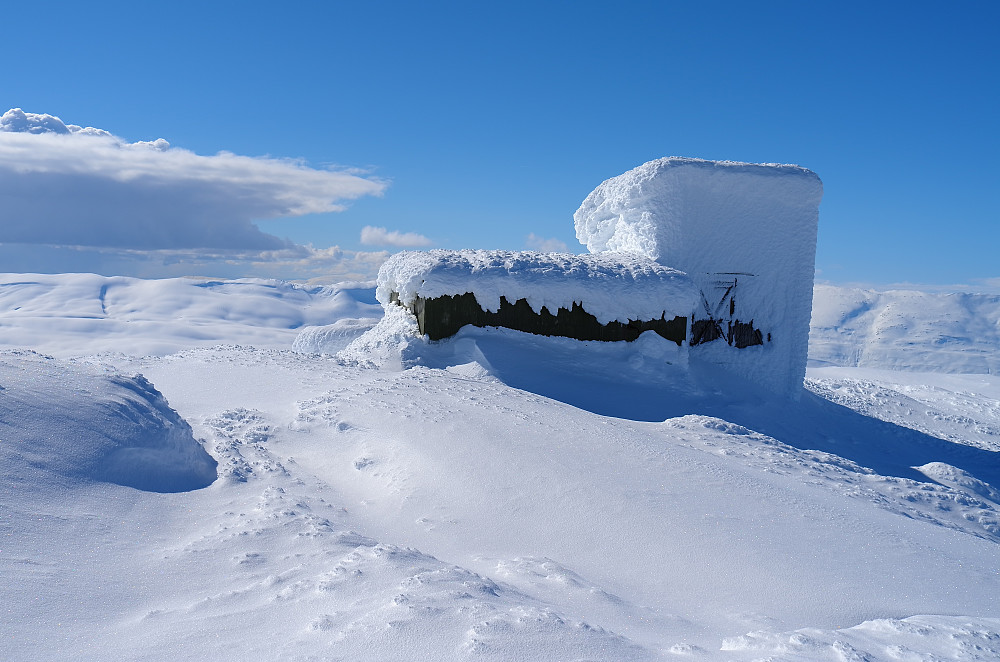 Kjerringfjelltoppen