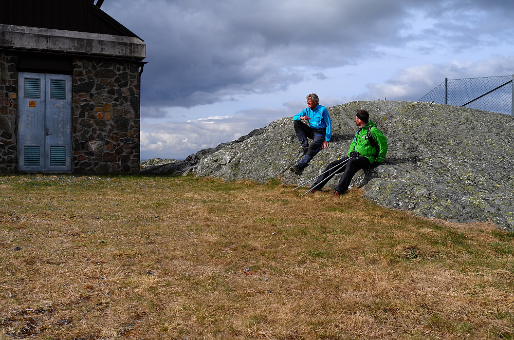 Bertesknapen