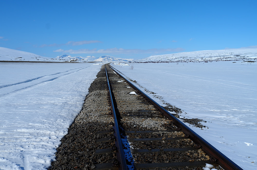Kryssing av Nordlandsbanen