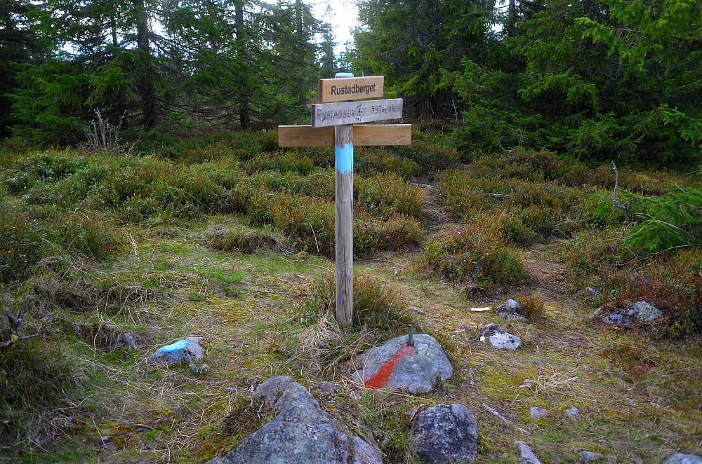Høyeste punkt