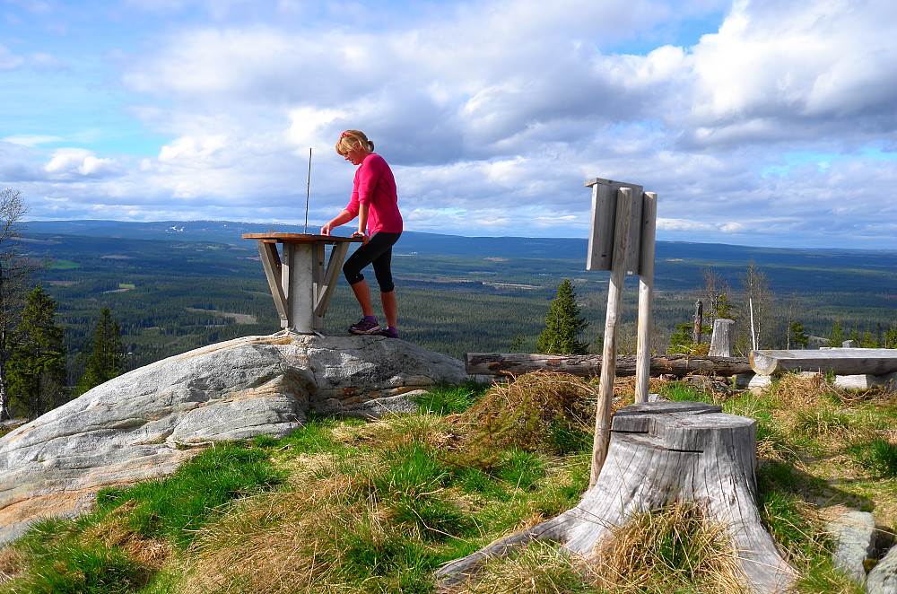 Utsikt mot nord