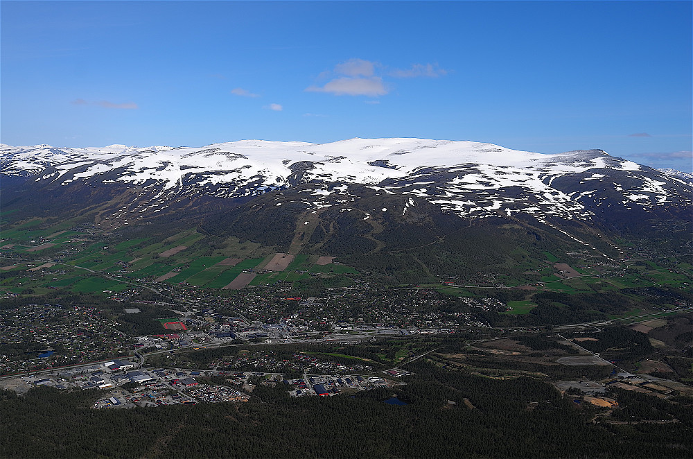 Mot Blåøret