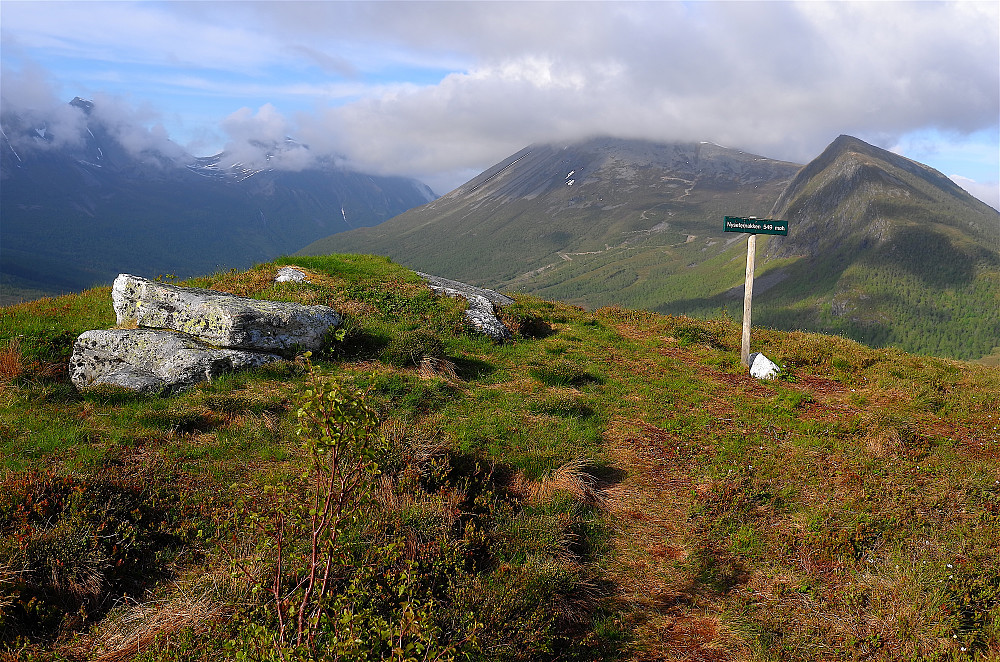 Nysæternakken