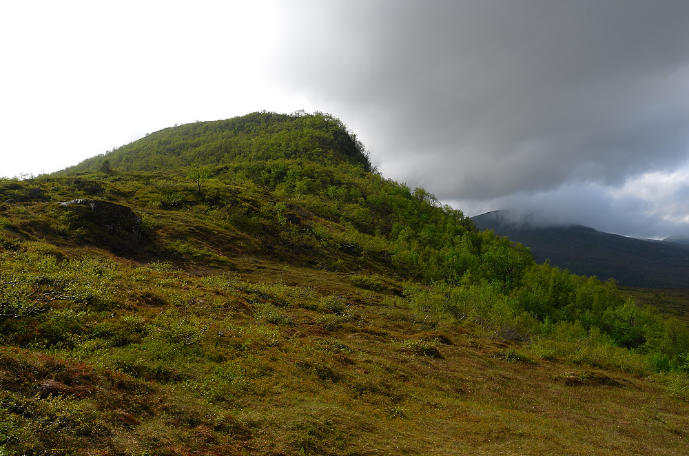 Kjølen