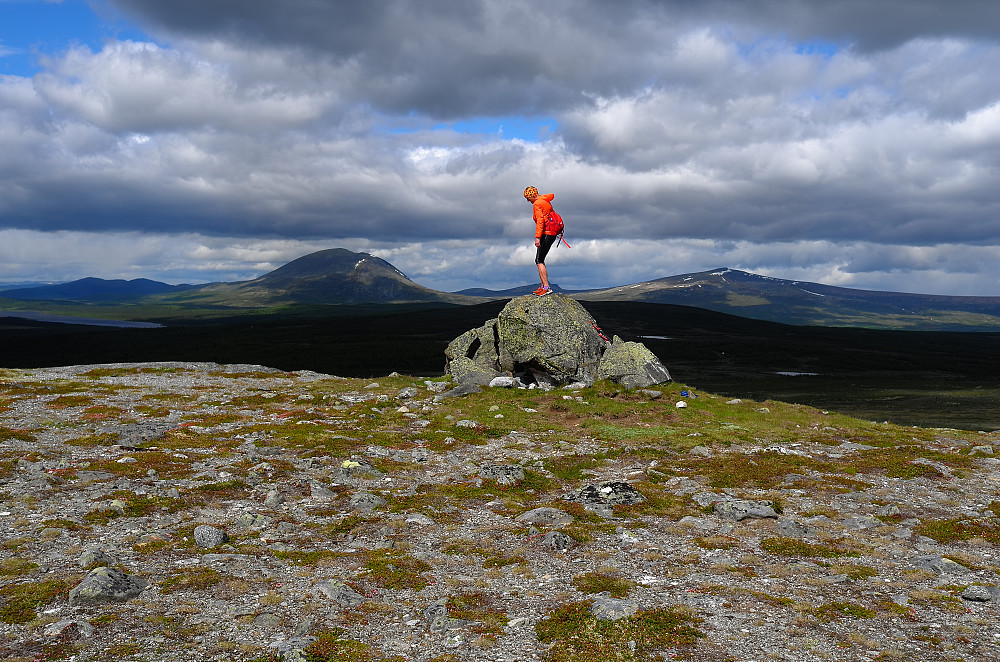 Skardfjellet. Bak Heidalsmuen og Saukampen