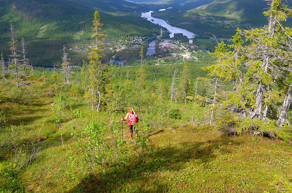 Namsskogan/Namdalen