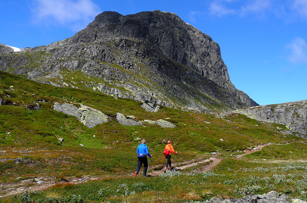 Bitihorn sett fra sør