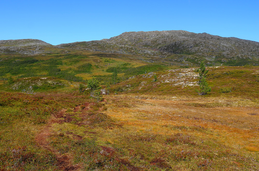 Myr og gresspartier første 1.6 km
