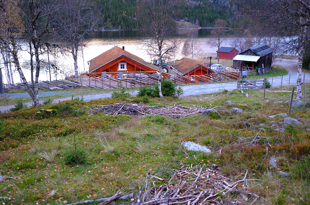 Nedre Langesæ