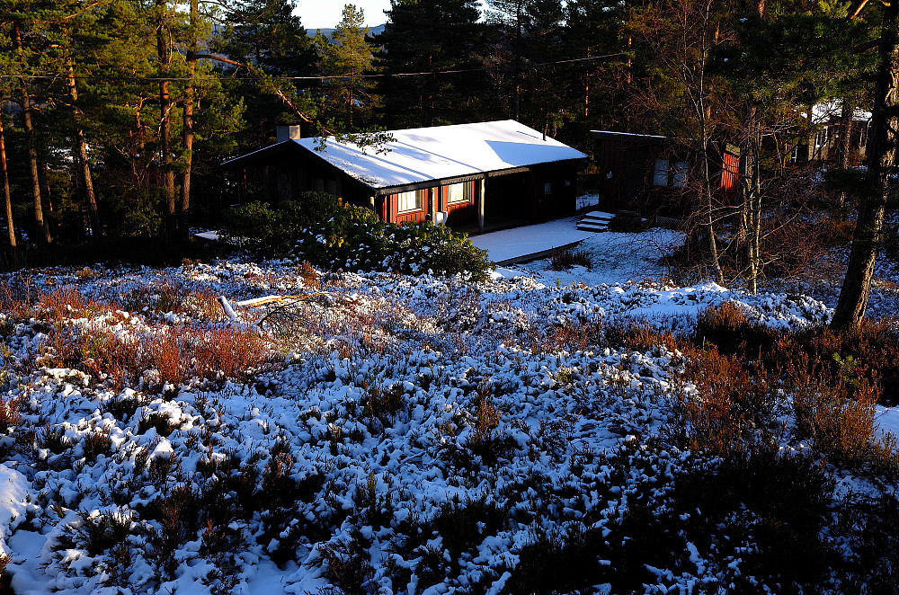 Punkt nord