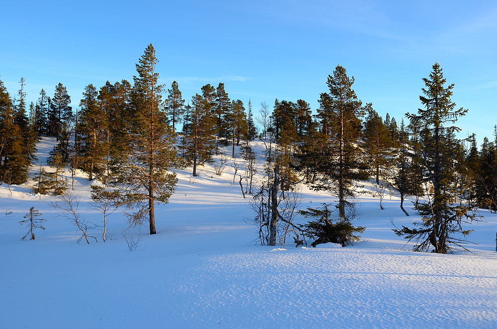 Fine skiforhold
