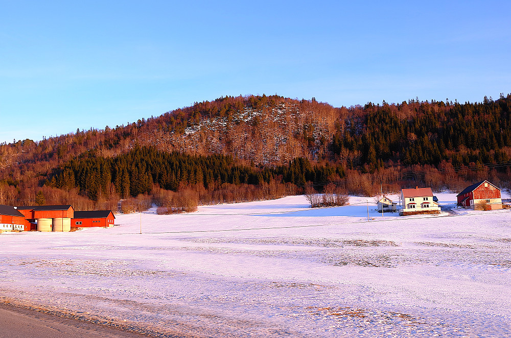 Langfallan