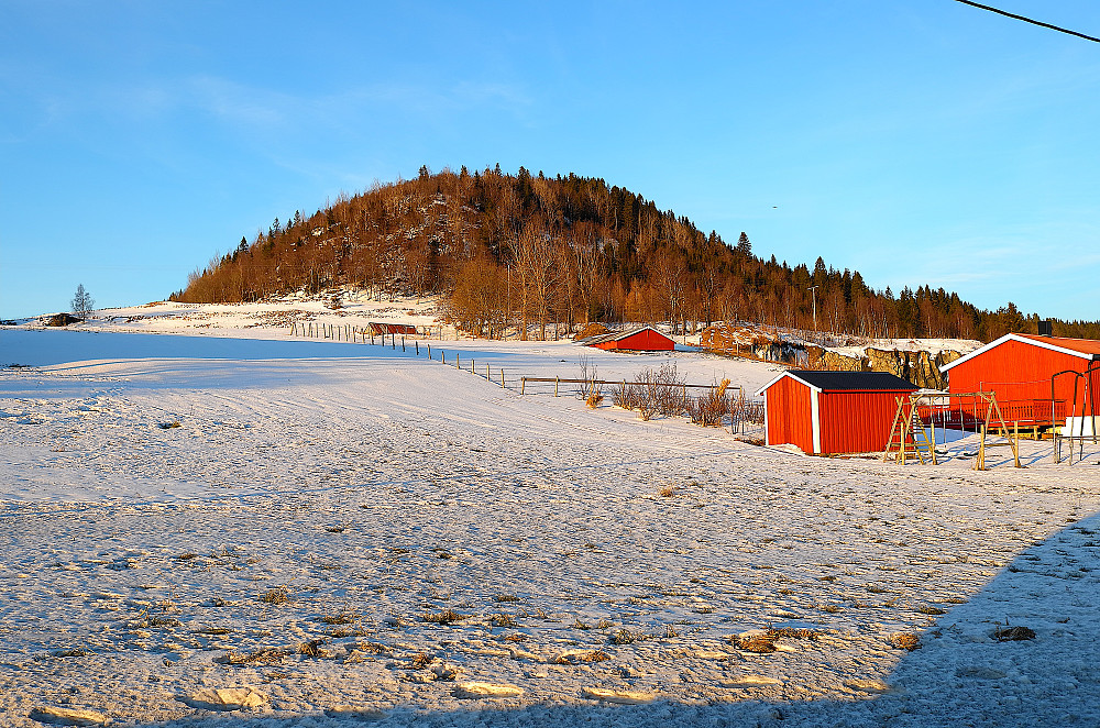 Haukreiret