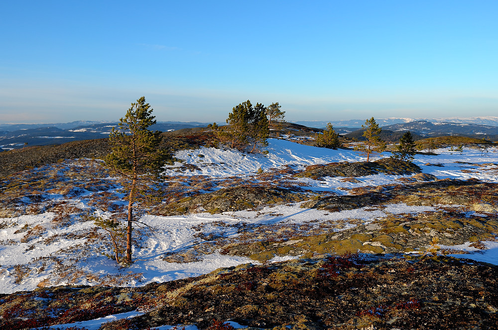 Jervfjellet i flott vintervær